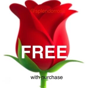 🌹 free w/purchase 100% brass turtle mini silver plated turtle